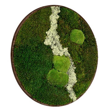 Mosschilderij Rond 100 cm Donker Eiken - Uppsala Latte, Verzenden, Nieuw