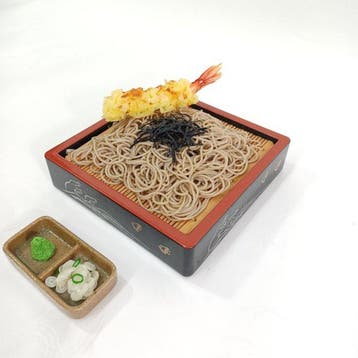 Authentic Vintage Japanese Food Sample: Zaru Soba with
