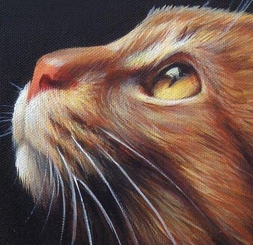 Gala - Cat painting ~Soap bubble~
