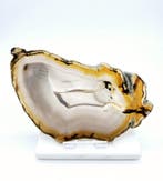 Agaat schijf, Ophalen of Verzenden, Nieuw