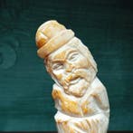 Columella Taxidermie volledige montage - Cassis Tuberosa -