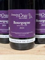 2024 Marc Soyard - Coteaux de Dijon - 6 Flessen (0.75 liter)