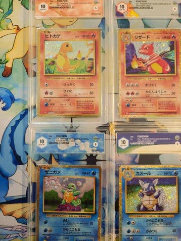 Pokémon - 6 Graded card - Charmander, Charmeleon, Squirtle,, Hobby en Vrije tijd, Nieuw