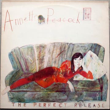 Annette Peacock - The Perfect Release, Verzenden