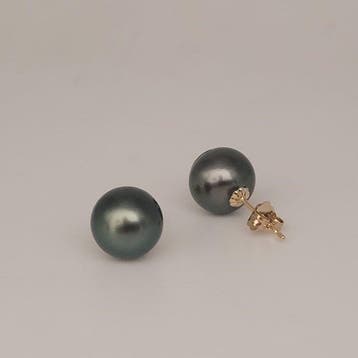 Sans prix de réserve - Boucles doreilles - 18 carats Or, Nieuw