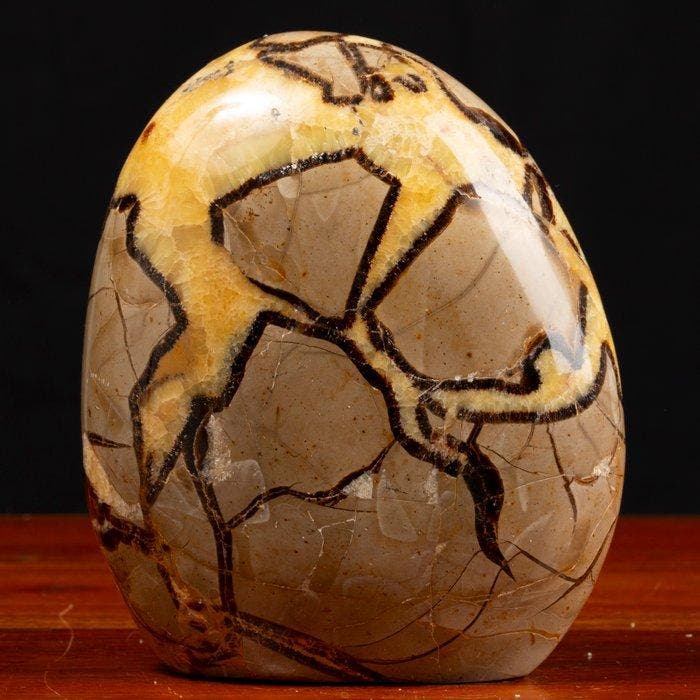 Poolse Septaria Vrije Vorm - Septaria - Aragoniet en Calciet, Collections, Minéraux & Fossiles