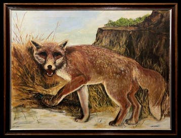 Victor Kitson (XX) - Mr. Fox