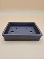 Bonsai-pot 25 x 20 x 6 cm bruin - Hoogte (boom): 0 cm -