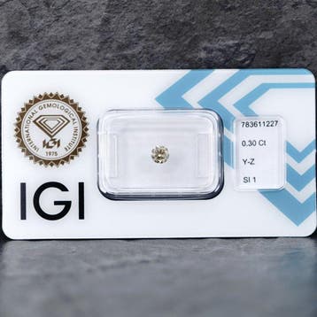Sans prix de réserve - 1 pcs Diamant (Couleur naturelle) -, Bijoux, Sacs & Beauté, Pierres précieuses
