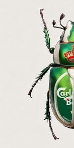 F2B - BeetleCan Carlsberg 1I8