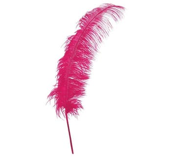 Roze Struisvogelveren 50cm 12st, Verzenden, Nieuw