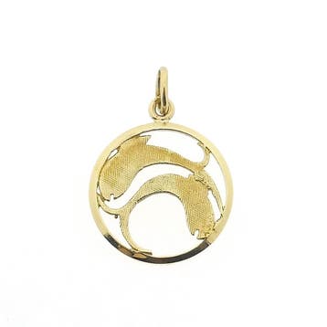 Gouden sterrenbeeld hanger; Vissen (Hanger of bedel), Ophalen of Verzenden, Gebruikt, Goud, Overige merken