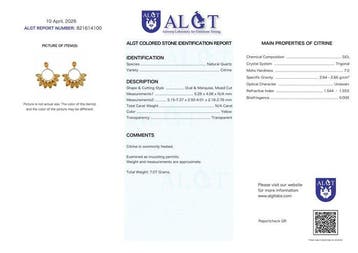Zonder minimumprijs - Oorbellen Zilver - citrien -, Nieuw