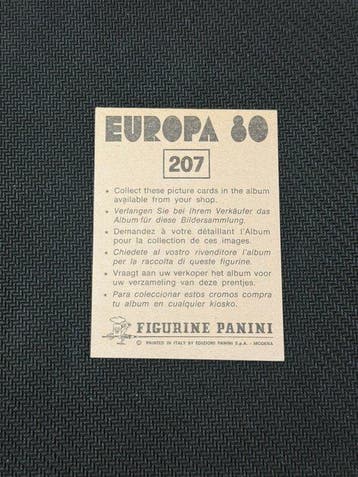 1980 Panini Europa 80 Michel Platini Sticker - Presque, Collections