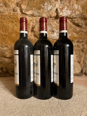 2016 Chateau Chasse-Spleen - Moulis-en-Médoc - 3 Bouteilles, Nieuw