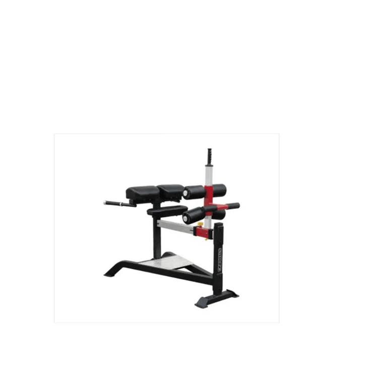 Impulse - Horizon - Lower Back - Hyper Extension, Sport en Fitness, Fitnessapparatuur, Zo goed als nieuw, Ophalen of Verzenden
