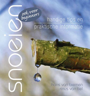 Snoeien ook voor beginners 9789047513438 Hans van Biemen, Verzenden, Zo goed als nieuw, Hans van Biemen