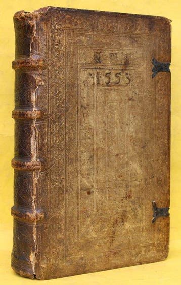 Martin Luther - In primum librum Mose enarrationes (&) In, Antiek en Kunst