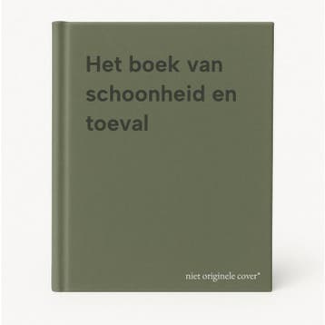 Het boek van schoonheid en toeval 9789464363494, Verzenden