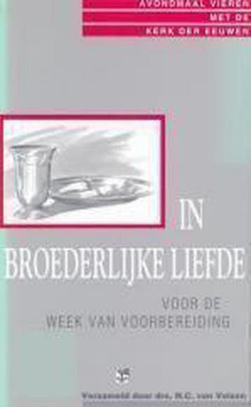IN BROEDERLIJKE LIEFDE 9789050303811 N.C. van Velzen, Boeken, Verzenden, Zo goed als nieuw, N.C. van Velzen