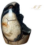 Premium - Septaria - Oeuf de dragon - pierre fluorescente
