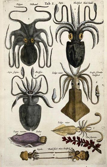 Matthäus Merian (1593-1650) - hand coloured folio,