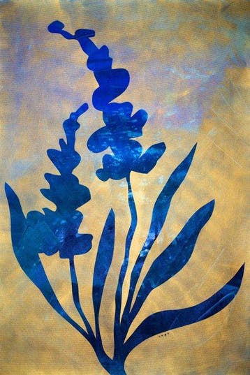Lupo - Urban Jungle 466 - Certificated - REAL GOLD - XXL