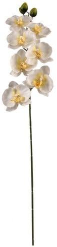 Panda Orchidee Spray Creme Zijden, Nieuw