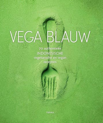 Vega Blauw | Joke Boon | Nieuw, Verzenden, Nieuw, Joke Boon