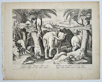 Johannes Stradanus (1523-1605) - Troglodyte Elephant Hunt /