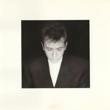 Peter Gabriel - Shaking The Tree: Sixteen Golden Greats, Verzenden, Gebruikt