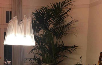 Flos - Achille Castiglioni - Plafondlamp - Fucsia 12 - Glas