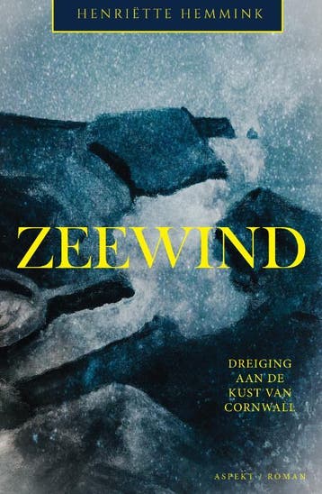 Zeewind 9789464242065 Henriëtte Hemmink, Verzenden, Zo goed als nieuw, Henriëtte Hemmink