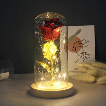 Kunst Roos in Glazen Stolp met Verlichting - Zijden Rozen, Verzenden, Nieuw