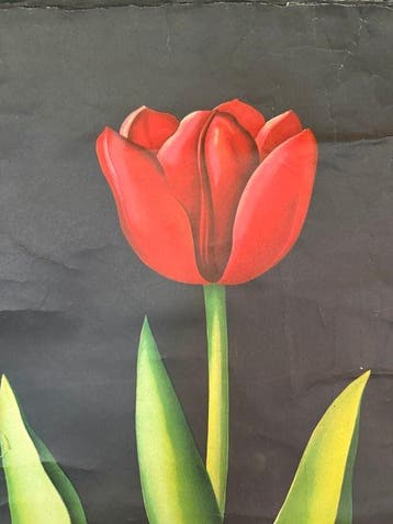 Tülpe - Jung Koch Quentell, tulp 1952 - Schoolkaart - Linnen