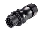 Wieland RST20I3S B1 ZR2 SW Connector - 96.031.4153.1, Verzenden, Nieuw
