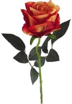 Roos Zijden Open Velvet Oranje 52 cm per stuk, Nieuw