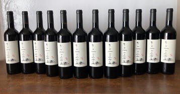 2018 Domaine La Chochotte du Boulon Cuvée Erik Truffaz -, Nieuw