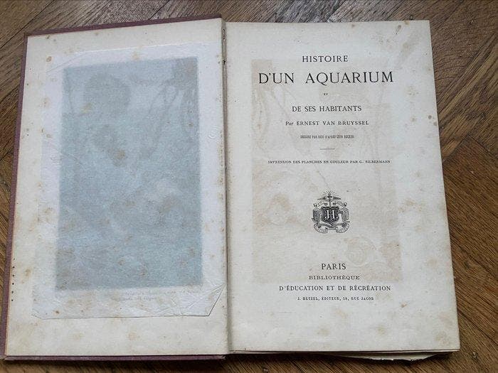 Ernest van Bruyssel/Illustrations de Riou - Histoire dun, Antiquités & Art, Antiquités | Livres & Manuscrits
