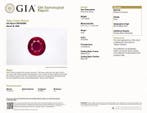 1 pcs Rood Robijn - 1.03 ct - Gemological Institute of, Nieuw