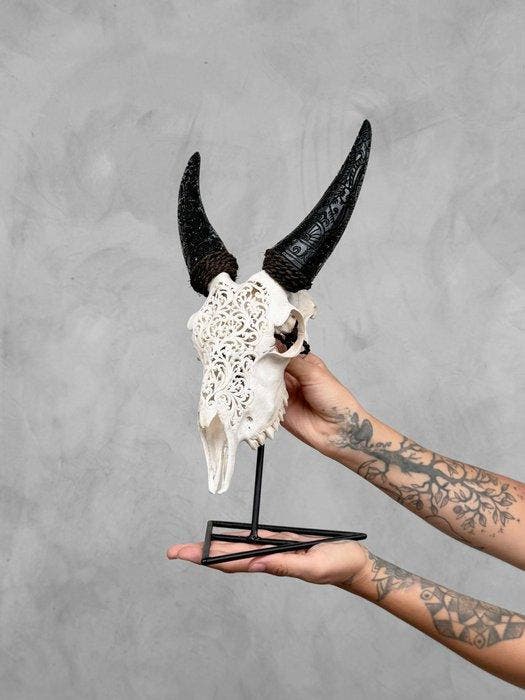 GEEN MINIMUMPRIJS - Authentieke bewerkte witte geiten, Antiek en Kunst, Kunst | Designobjecten