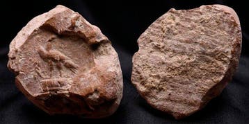 Oud-Romeins Aardewerk Tessera waarop een adelaar is