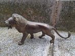 Sculpture, Coppia di leoni - 30 cm - Bronze, Antiquités & Art