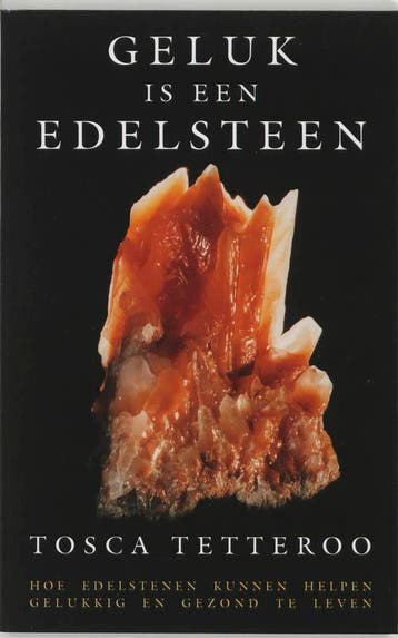 Geluk is een edelsteen 9789032505684 T. Tetteroo, Boeken, Verzenden, Gelezen, T. Tetteroo