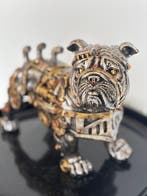 Rob VanMore - Steam Puppy