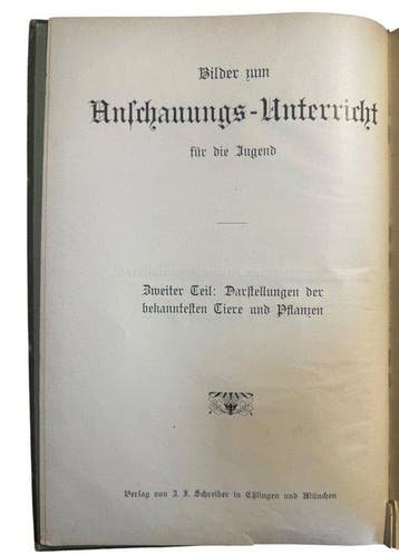 Gotthilf Heinrich von Schubert - Bilder zum