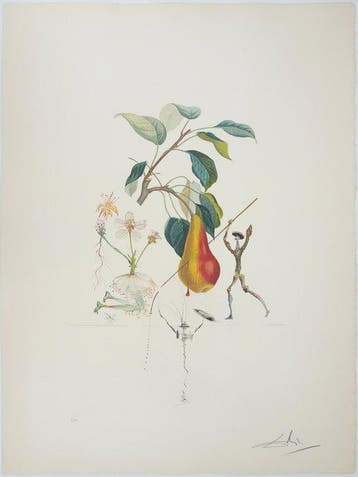 Salvador Dali (1904-1989) - Flordali, Poire Don Quichotte