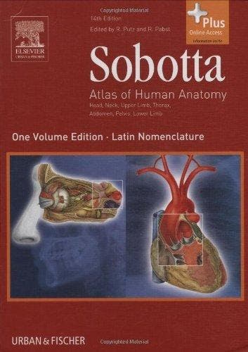 Sobotta - Atlas Of Human Anatomy 9780702034831 Reinhard Putz, Boeken, Verzenden, Gelezen, Reinhard Putz