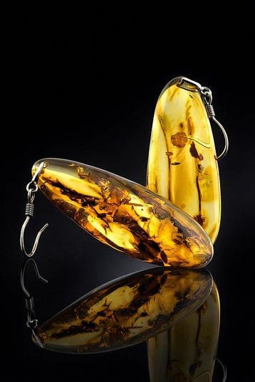 Barnsteen - Minimalist Baltic Amber Drop Earrings – Golden