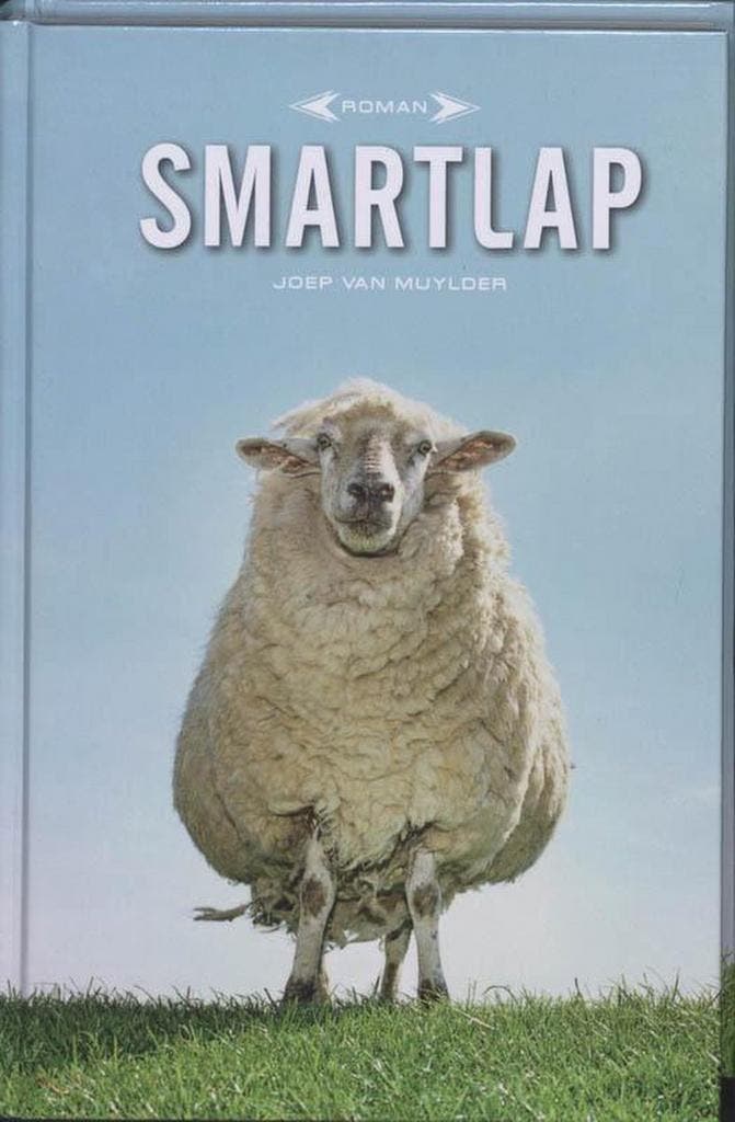Smartlap 9789460010019 J. Van Muylder, Boeken, Romans, Zo goed als nieuw, Verzenden